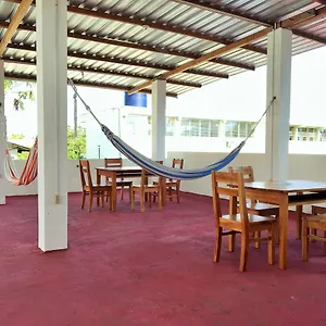 Hostel El Paraiso, Puerto Ayora (Galapagos Islands)